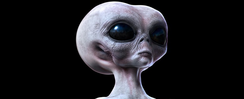 alien_head_biology_1024
